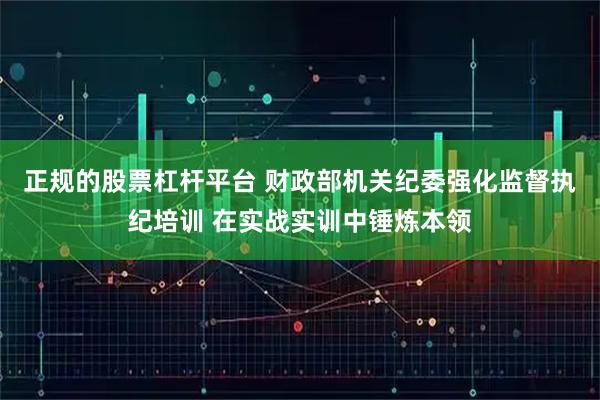 正规的股票杠杆平台 财政部机关纪委强化监督执纪培训 在实战实训中锤炼本领